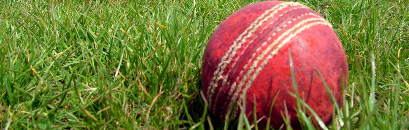 Burwash Cricket Club